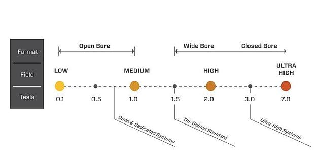 MRI Tesla vs. Field vs. Format Comparison