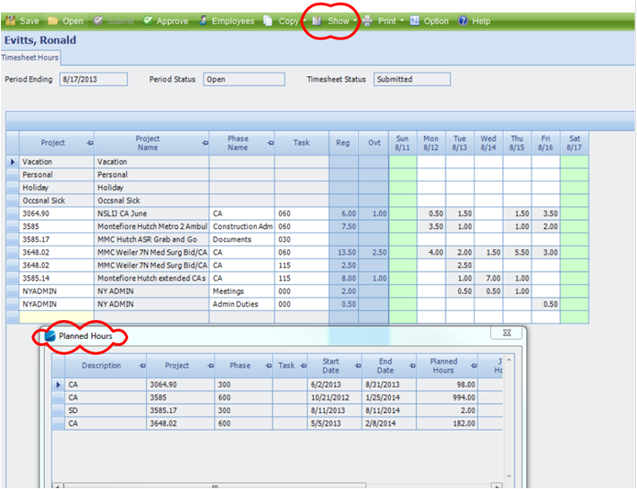 Deltek Vision Time Tracking Screenshot