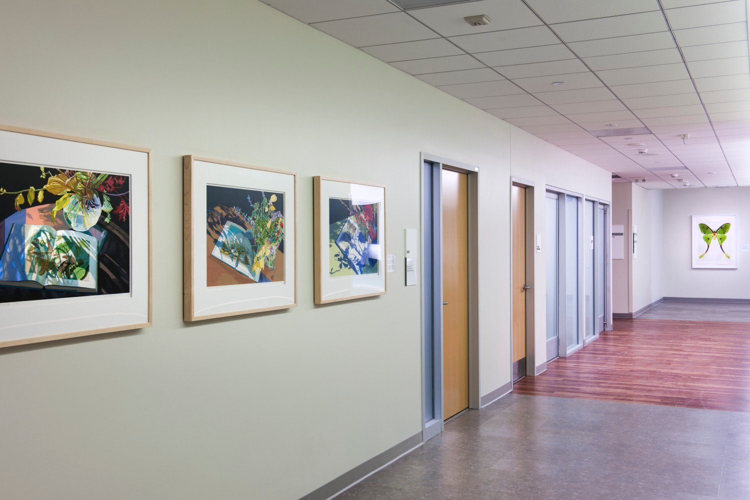 Hospital Featuring Nature Artwork 