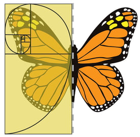 Array_ButterflySymmetry